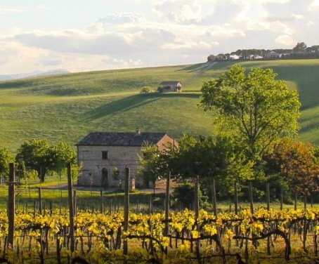 fattoria forano - Marche