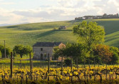 Fattoria Forano