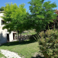 Ca' Maddalena