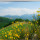 preview image17 esterno