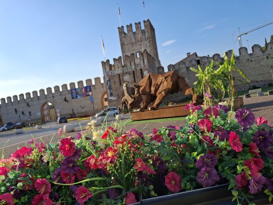 Affittacamere Borgo Antico - foto 7
