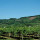 preview image5 dintorni