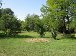 image0 Sile E Natura
