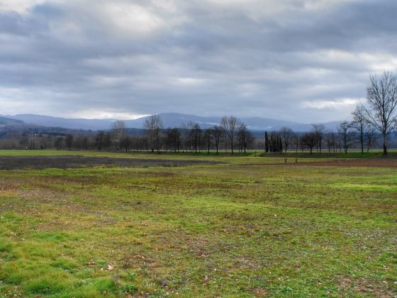 Agricola Casentinese - foto 12