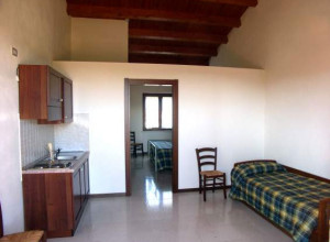 image11 L'assiolo