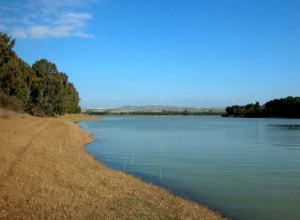 image8 L'assiolo