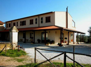 image20 L'assiolo