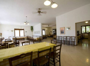 image6 L'assiolo