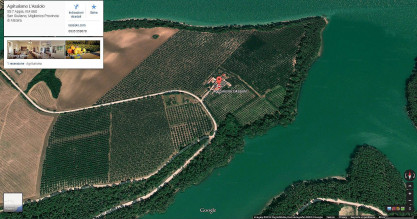 image18 L'assiolo