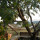 preview image18 esterno