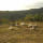 preview image19 esterno