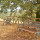 preview image13 esterno