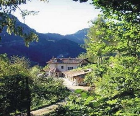 Casa-rural Albero Degli Alberi - Seren Del Grappa