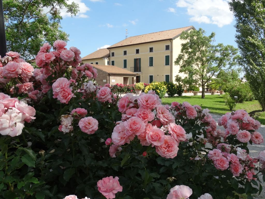 Millefiori La Corte Delle Rose