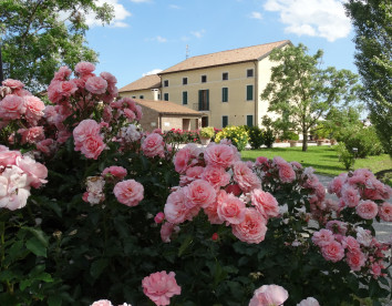 millefiori la corte delle rose