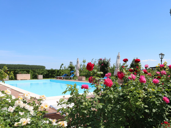 millefiori la corte delle rose foto 5