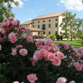 Millefiori La Corte Delle Rose