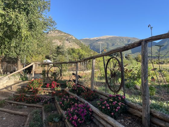 La Locanda Del Parco - foto 17