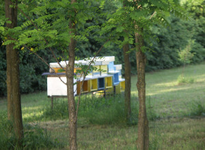 image7 Demetra