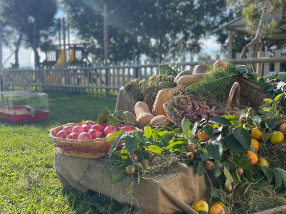 taglio del re foto giardino 16