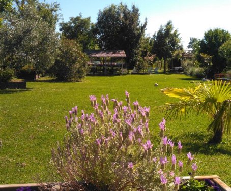 Casa-rural Taglio Del Re - Jesolo