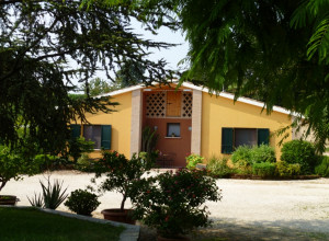 image5 Dondino