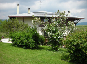 image1 Grüuntaal