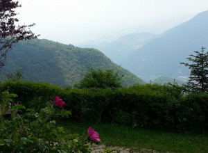 image9 Malga Vittoria