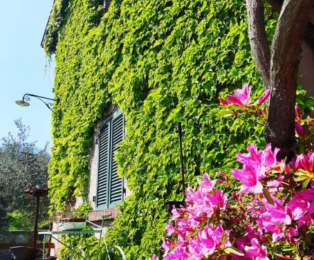 Casa-rural Ca' Di Rossi - Mulazzo