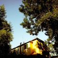 San Giuliano