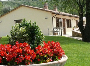 poggio del pero
