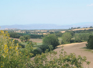 image13 Poggio Bellavista