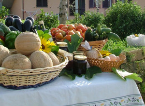 image12 Poggio Bellavista