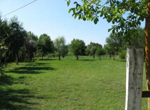 image18 Le Vignacce