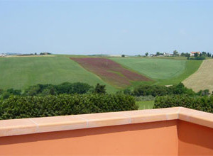image3 Fossederi