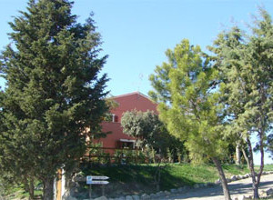 image17 Fossederi