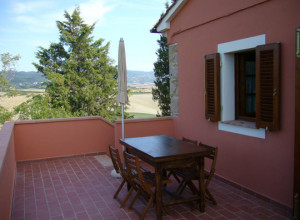 image9 Fossederi