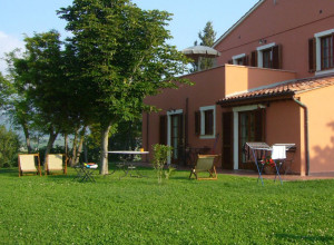 image7 Fossederi