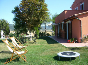 image12 Fossederi