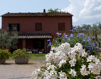 fattoria primavera