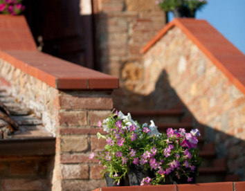 fattoria primavera