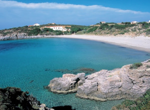 image19 Subistentu