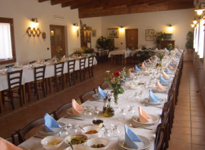 image13 Subistentu