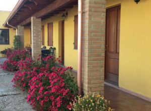 image22 Subistentu