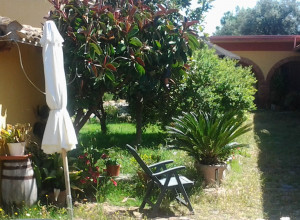 image17 Subistentu