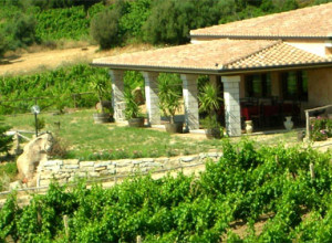 image3 Su Solianu