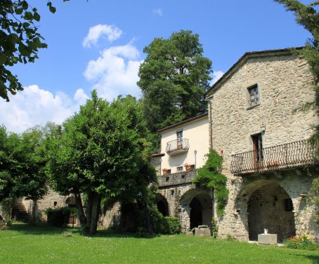 Foto il glicine e la lanterna