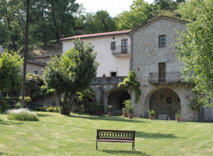 image15 Il Glicine E La Lanterna