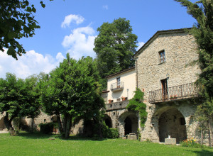 image29 Il Glicine E La Lanterna