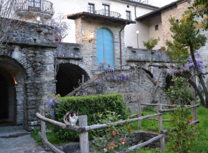image25 Il Glicine E La Lanterna